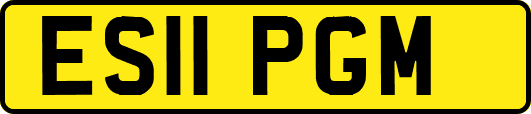 ES11PGM