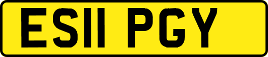 ES11PGY