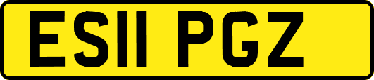 ES11PGZ