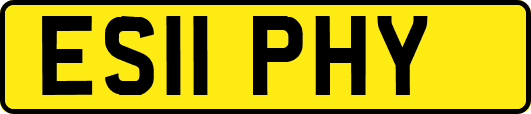 ES11PHY