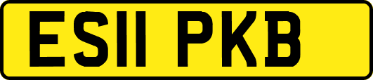 ES11PKB