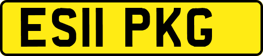 ES11PKG