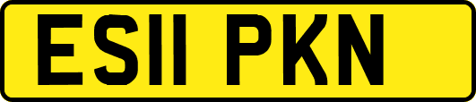 ES11PKN