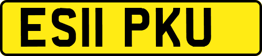 ES11PKU