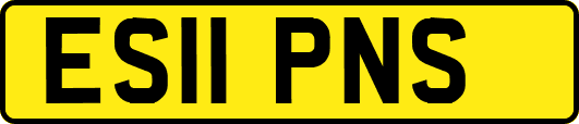 ES11PNS