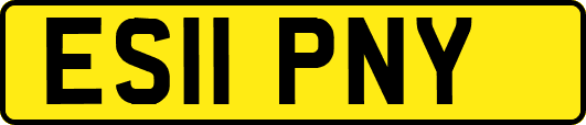 ES11PNY