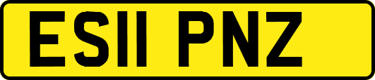 ES11PNZ
