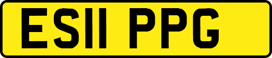 ES11PPG