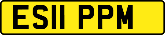 ES11PPM