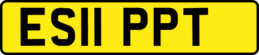 ES11PPT