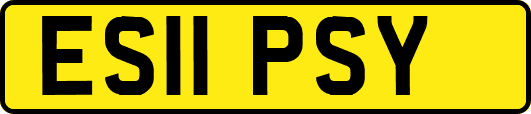 ES11PSY