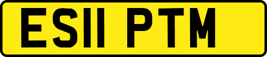 ES11PTM