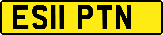ES11PTN