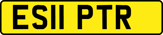 ES11PTR