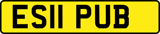 ES11PUB
