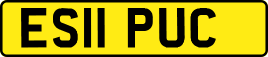 ES11PUC