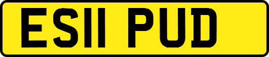 ES11PUD