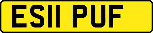 ES11PUF