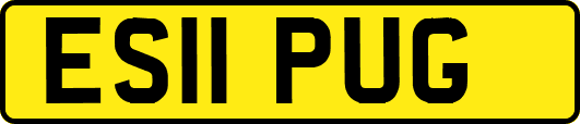 ES11PUG