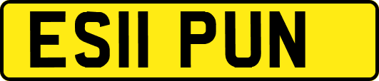 ES11PUN