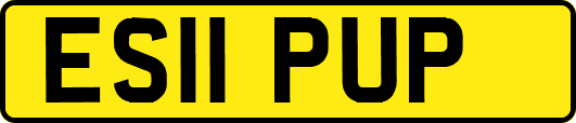 ES11PUP