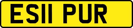 ES11PUR