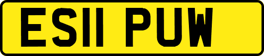 ES11PUW