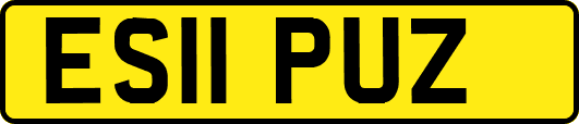 ES11PUZ