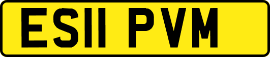 ES11PVM