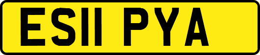 ES11PYA