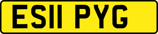 ES11PYG