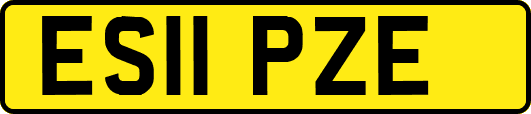 ES11PZE