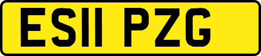 ES11PZG