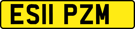 ES11PZM