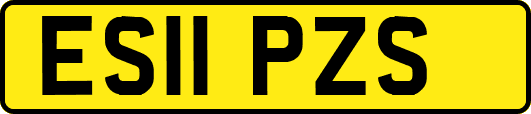 ES11PZS