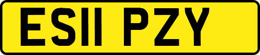 ES11PZY