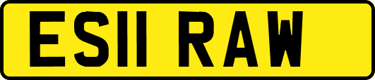ES11RAW