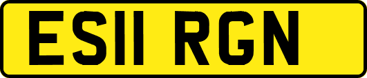 ES11RGN