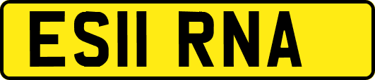 ES11RNA