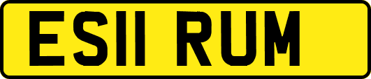 ES11RUM