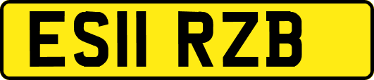 ES11RZB