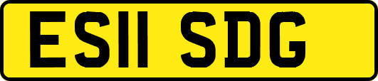 ES11SDG