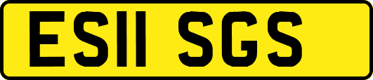 ES11SGS