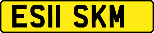 ES11SKM