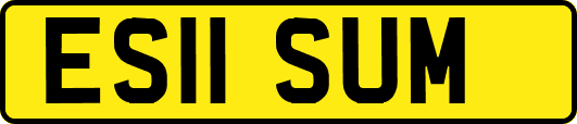 ES11SUM