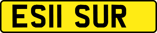 ES11SUR