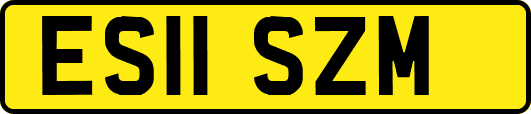 ES11SZM