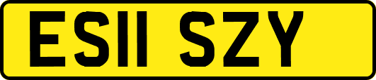 ES11SZY