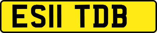 ES11TDB