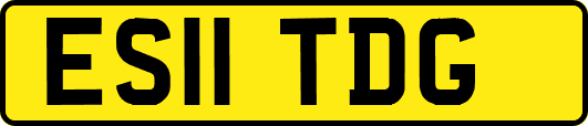 ES11TDG